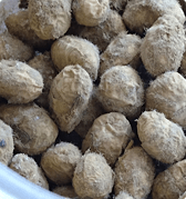 大豆に自家採取した麹菌
