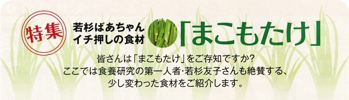 若杉ばあちゃんイチオシの食材 まこもたけ