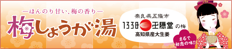 梅しょうが湯3袋セット