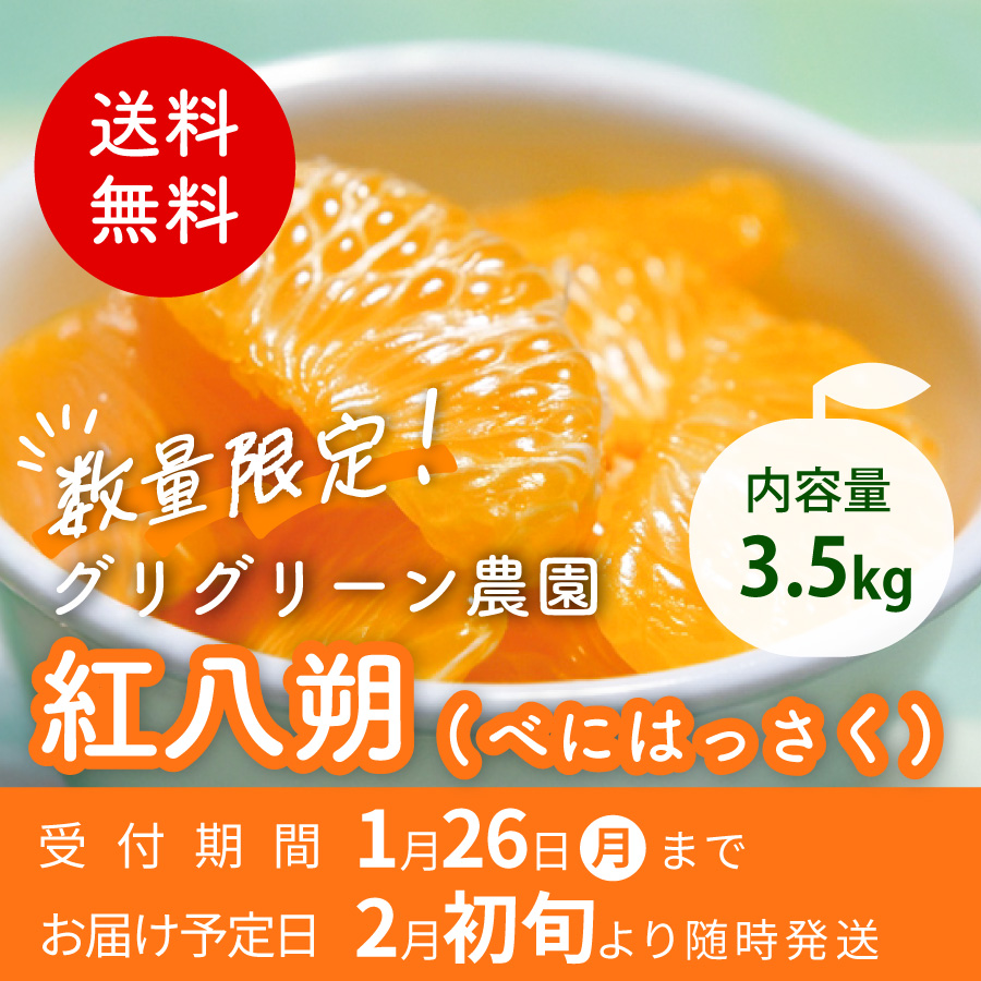 送料無料 数量限定 内容量3.5kg グリグリーン農園 紅八朔 受付期間1月26日(月)まで お届け予定日 2月初旬より随時発送