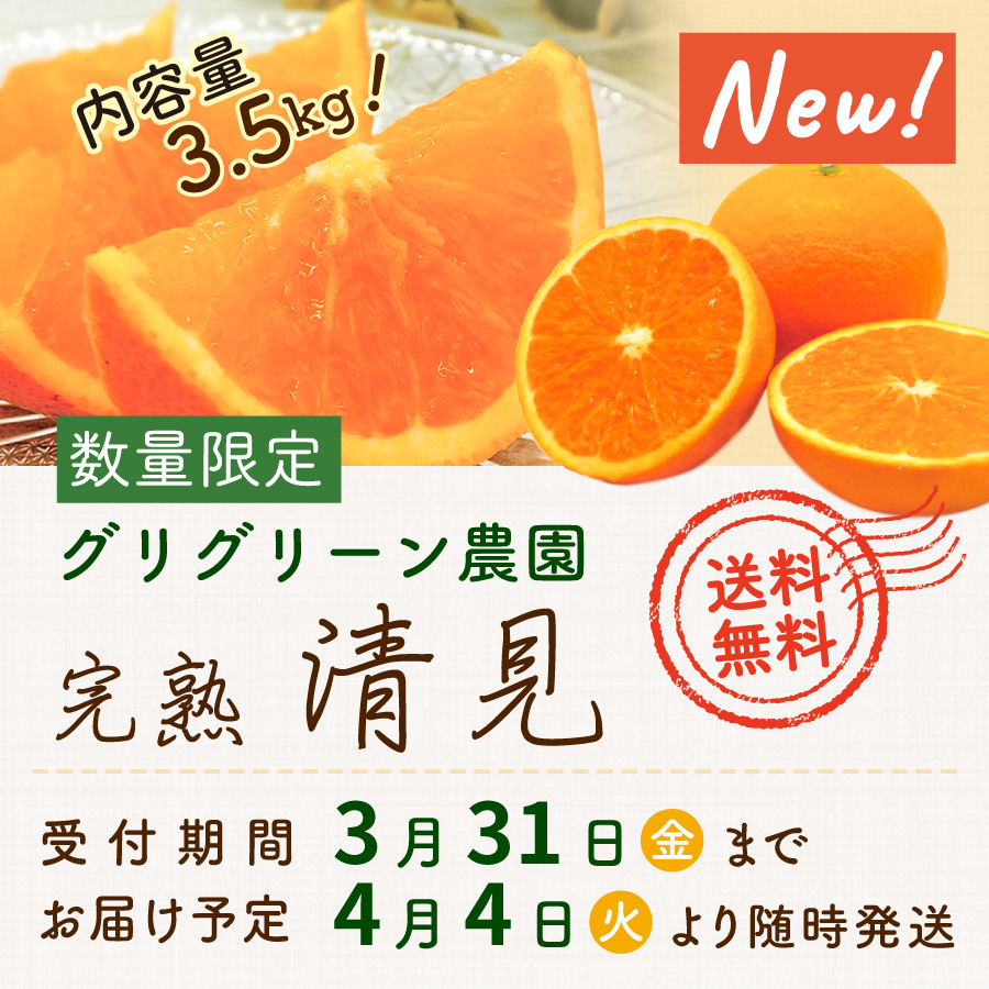 New! 数量限定 内容量3.5kg! グリグリーン農園 完熟 清見 送料無料 受付期間3月31日金まで お届け予定 4月4日火より随時発送