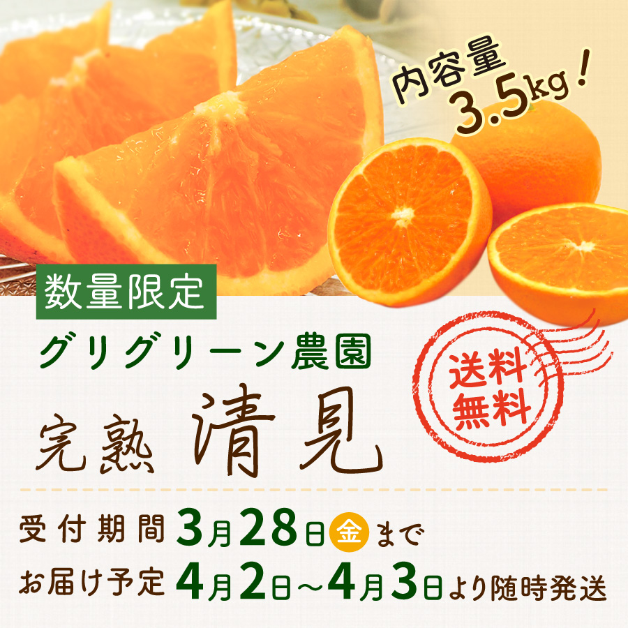 数量限定 内容量3.5kg! グリグリーン農園 完熟 清見 送料無料 受付期間3月31日金まで お届け予定 4月2日～4月3日より随時発送