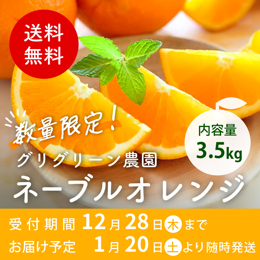 数量限定！グリグリーン農園 ネーブルオレンジ 受付期間 12月28日木まで お届け予定 1月20日土より随時発送 内容量3.5kg