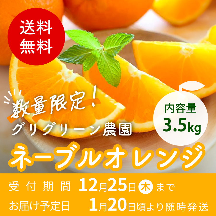 送料無料 数量限定 内容量3.5kg グリグリーン農園 ネーブルオレンジ 受付期間12月25日(木)まで お届け予定日 1月20日頃より随時発送