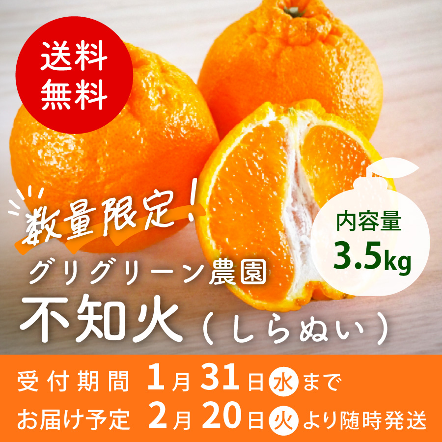 数量限定！グリグリーン農園 不知火(しらぬい) 受付期間 1月31日水まで お届け予定 2月20日火より随時発送 内容量3.5kg