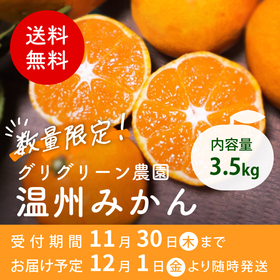 数量限定！グリグリーン農園 温州みかん 受付期間 11月30日木まで お届け予定 12月1日金より随時発送 内容量3.5kg