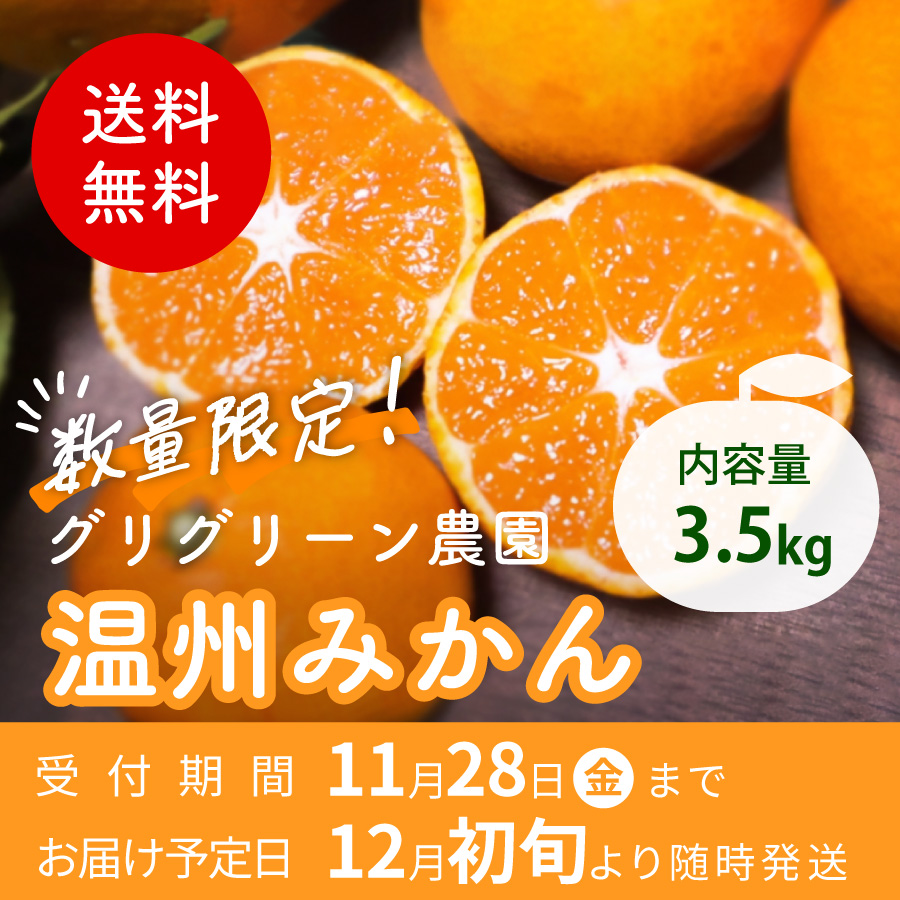 送料無料 数量限定 内容量3.5kg グリグリーン農園 温州みかん 受付期間11月28日(金)まで お届け予定日 12月初旬より随時発送