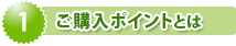 ご購入ポイントとは