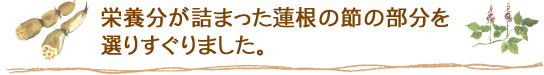 栄養分が詰まった蓮根の節の部分を選りすぐりました。