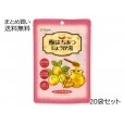 梅はちみつしょうが湯 (12g×5袋)　20袋セット【送料無料】