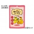 梅はちみつしょうが湯 (12g×5袋)×20セット【送料無料】