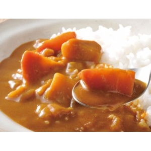 ベジタリアンのための野菜カレー（中辛）レトルト　15個セット