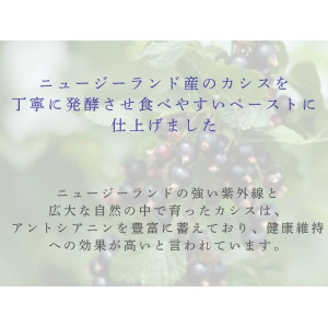 濃縮発酵カシスペースト