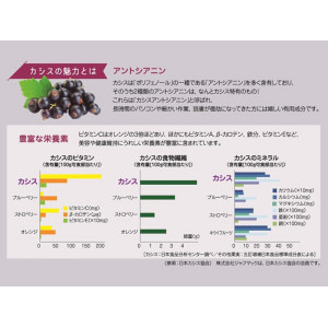 濃縮発酵カシスペースト
