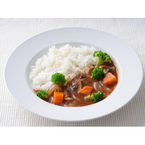 植物素材 有機ハヤシライス