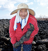 国内産 蓮根葛湯